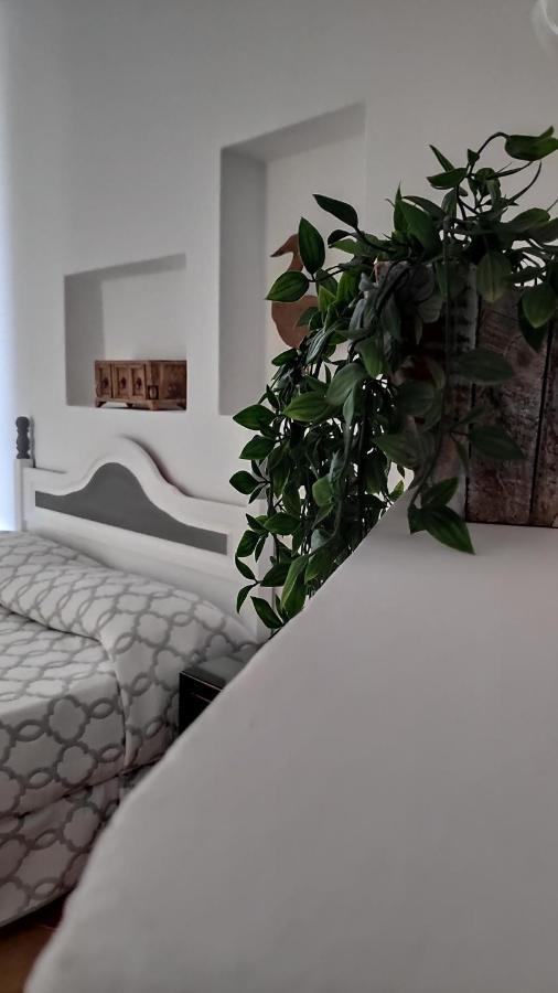 Aptos Con Piscina El Flamboyan 1 Teseguite 외부 사진